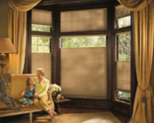 North Dallas Window Treatment Article